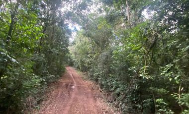 CHACRA 40 HA