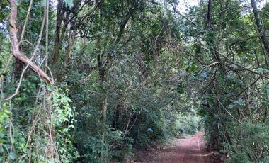 CHACRA 40 HA