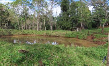 CHACRA 40 HA