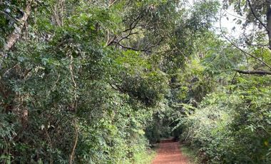 CHACRA 40 HA