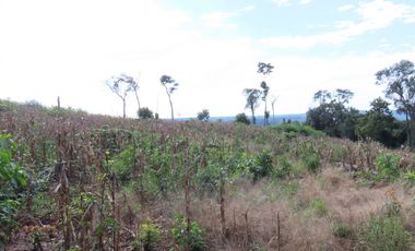 CHACRA 40 HA