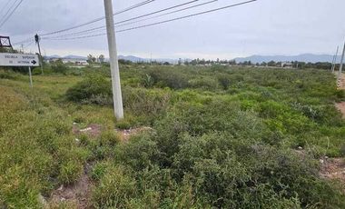 Tereno  sobre la carretera Actopan -Pachuca