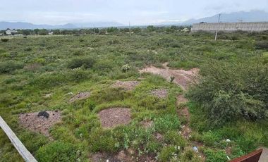 Tereno  sobre la carretera Actopan -Pachuca