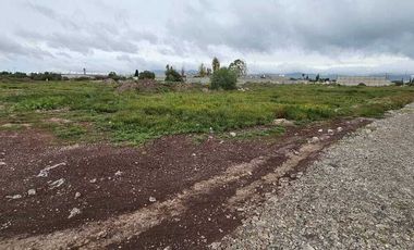 Tereno  sobre la carretera Actopan -Pachuca