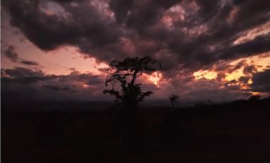 I021074 VENTA FUNDO 1035 has - CODO DE POZUZO