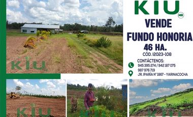 i023108 - VENTA FUNDO - HONORIA