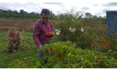 i023108 - VENTA FUNDO - HONORIA