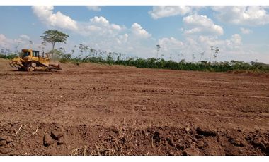 i023108 - VENTA FUNDO - HONORIA