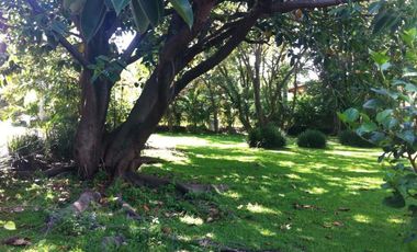 CONDOMINIO IMURI LOMAS DE JIUTEPEC