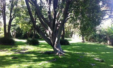 CONDOMINIO IMURI LOMAS DE JIUTEPEC