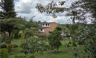 Vendo finca en la vereda la Mosquita - Guarne, Vía Aeropuerto JMC