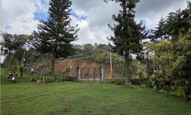 Vendo finca en la vereda la Mosquita - Guarne, Vía Aeropuerto JMC