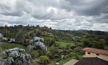 Vendo finca en la vereda la Mosquita - Guarne, Vía Aeropuerto JMC