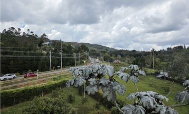 Vendo finca en la vereda la Mosquita - Guarne, Vía Aeropuerto JMC