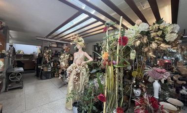 Local Comercial en Venta en Polanco II sección, a pie de calle