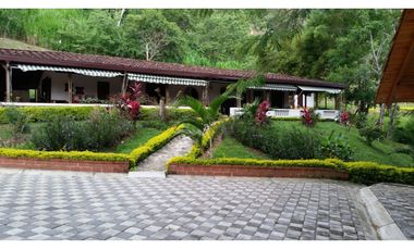FINCA EN VENTA GANADERA AMAGA Y FREDONIA