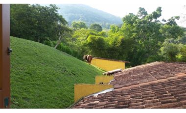 FINCA EN VENTA GANADERA AMAGA Y FREDONIA