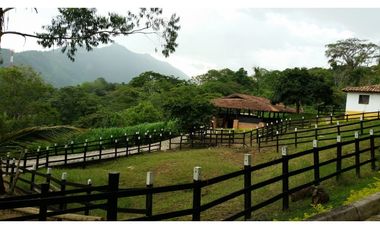 FINCA EN VENTA GANADERA AMAGA Y FREDONIA
