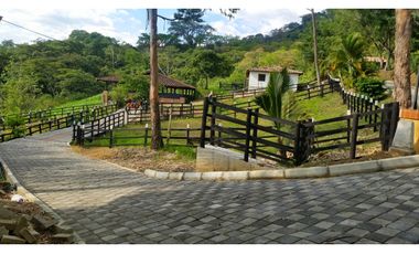 FINCA EN VENTA GANADERA AMAGA Y FREDONIA
