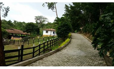 FINCA EN VENTA GANADERA AMAGA Y FREDONIA