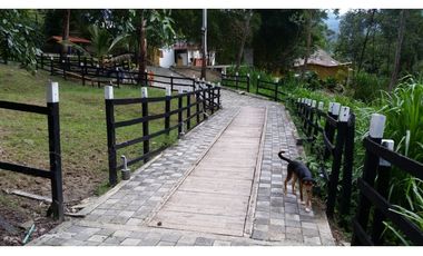 FINCA EN VENTA GANADERA AMAGA Y FREDONIA