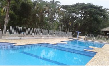FINCA EN VENTA GANADERA AMAGA Y FREDONIA
