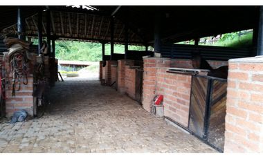 FINCA EN VENTA GANADERA AMAGA Y FREDONIA