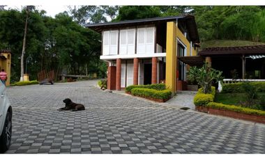 FINCA EN VENTA GANADERA AMAGA Y FREDONIA