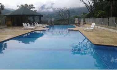 FINCA EN VENTA GANADERA AMAGA Y FREDONIA