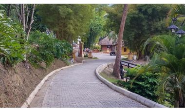 FINCA EN VENTA GANADERA AMAGA Y FREDONIA