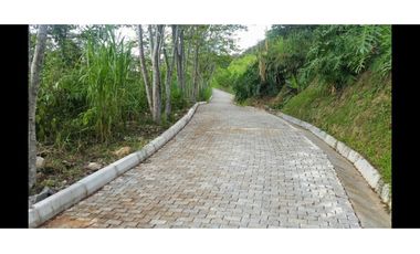 FINCA EN VENTA GANADERA AMAGA Y FREDONIA