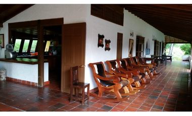 FINCA EN VENTA GANADERA AMAGA Y FREDONIA