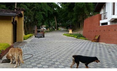 FINCA EN VENTA GANADERA AMAGA Y FREDONIA