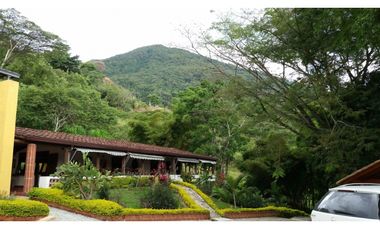 FINCA EN VENTA GANADERA AMAGA Y FREDONIA
