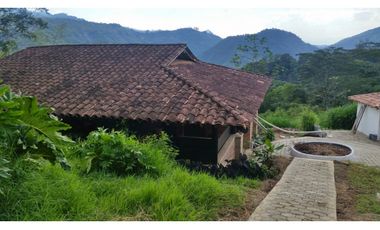 FINCA EN VENTA GANADERA AMAGA Y FREDONIA