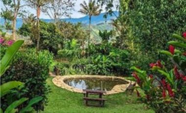 Finca en Venta en Copacabana, sector El Noral