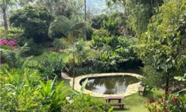 Finca en Venta en Copacabana, sector El Noral