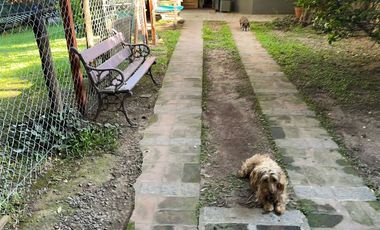 Alquiler Casa de 6 ambientes en Olivos con Pileta