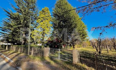 Casa Quinta, Neuquen