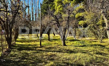 Casa Quinta, Neuquen