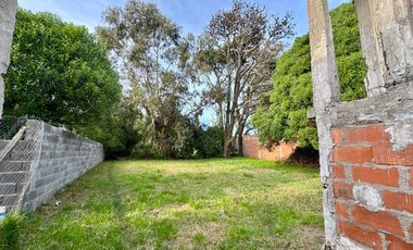 Venta casa a reciclar zona Alfar con gran parque