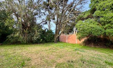 Venta casa a reciclar zona Alfar con gran parque