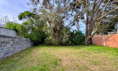 Venta casa a reciclar zona Alfar con gran parque