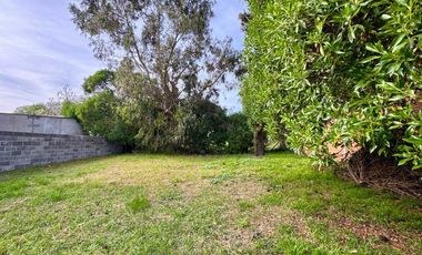 Venta casa a reciclar zona Alfar con gran parque