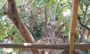 18 Sur/6 Oriente - Casa - Venta