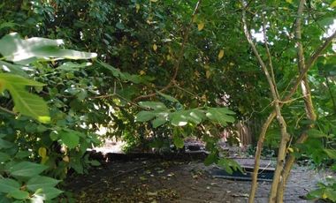 18 Sur/6 Oriente - Casa - Venta