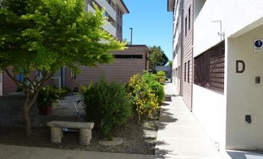 Presidente Ibañez/Yerbas Buenas - Departamento - Venta