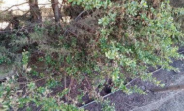 Parcela en venta en TILTIL