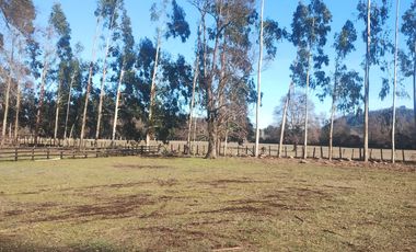 Parcela en venta en QUILACO