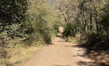 Los Canelos/Los Peumos - Parcela - Venta